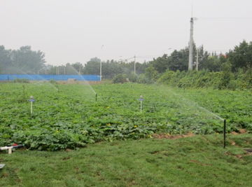 水利部产品质量监督总站与中国水利企业协会机械分会的角色及其对水利机械产业发展的影响