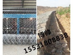 国内水利工程专用固滨笼 大品牌厂家的专业之选