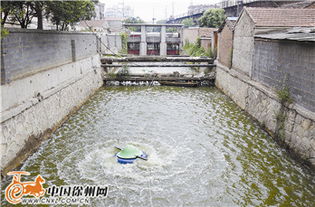 清水绕城，生态焕新 我市探索治理黑臭河道新路径